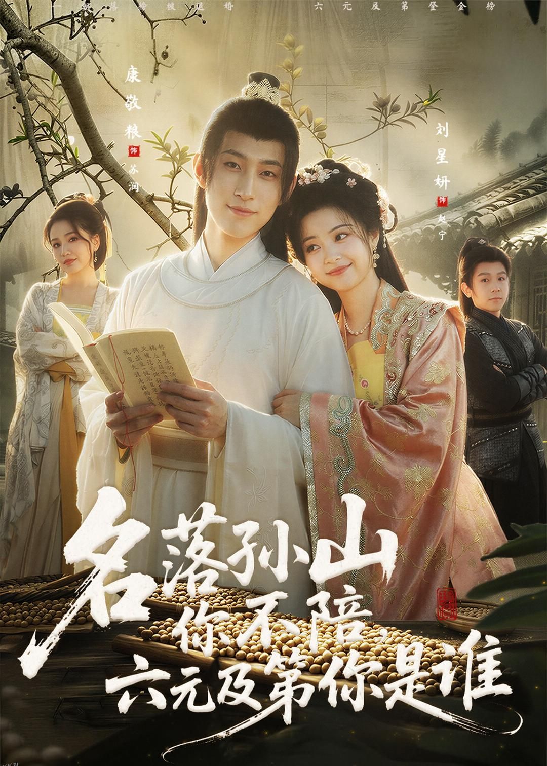 名落孙山你不陪，六元及第你是谁 海报