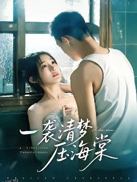 一袭清梦压海棠 海报