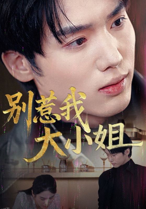 别惹我大小姐 海报