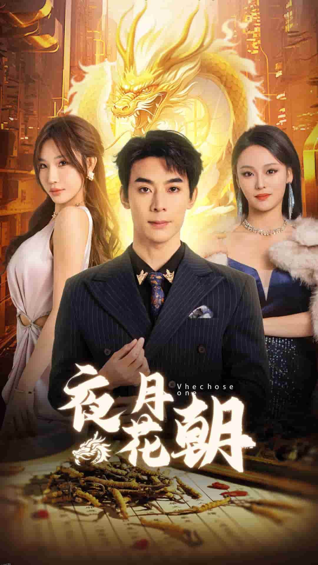 夜月花朝 高清海报