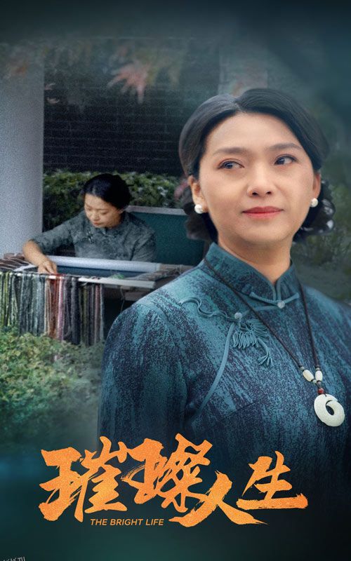 璀璨人生 短剧版 海报