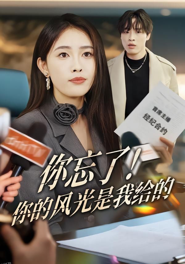 你忘了！你的风光是我给的 海报