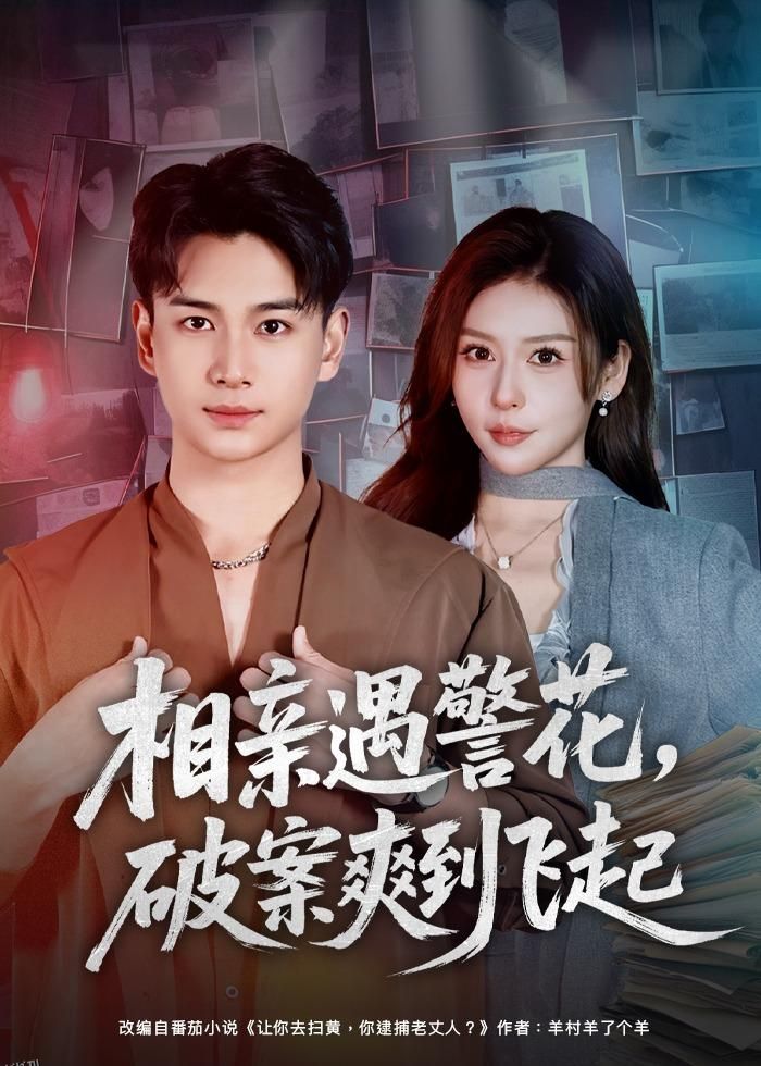 相亲遇警花，破案爽到飞起 海报