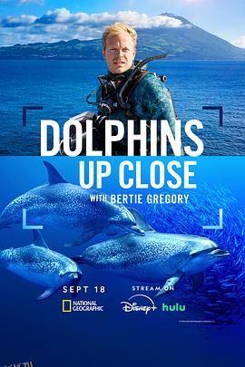 摄影师贝尔蒂与海豚零距离 海报