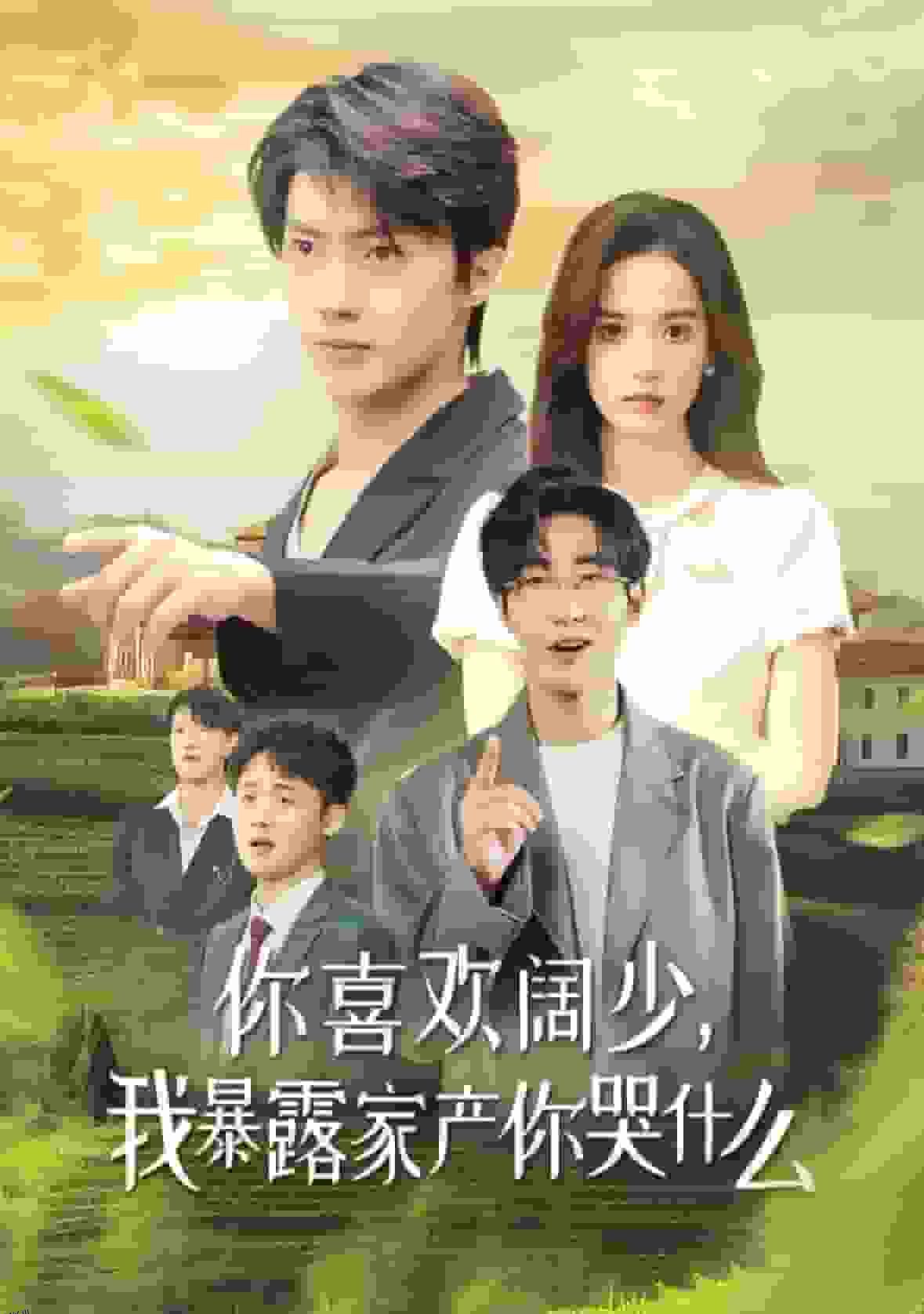 你喜欢阔少我暴露家产你哭什么 海报