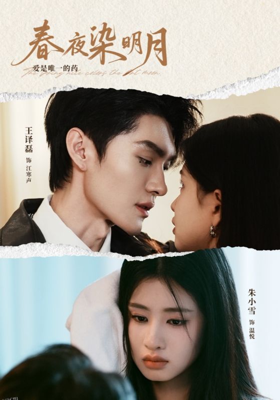 春夜染明月 海报