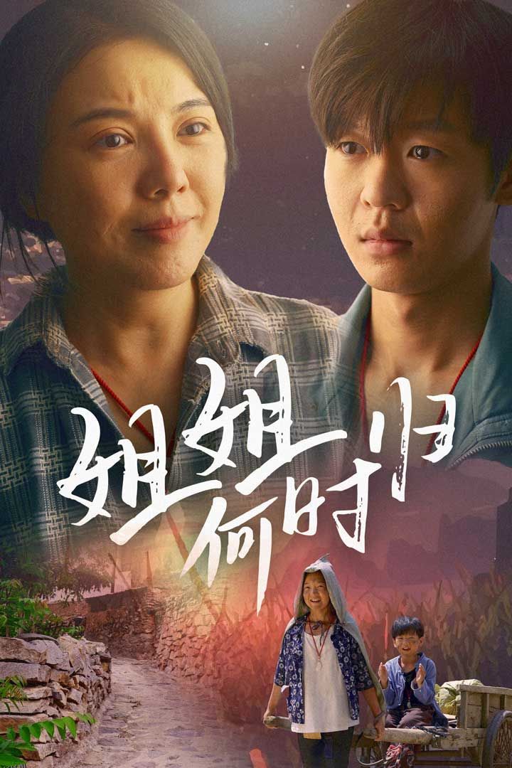 姐姐何时归 海报