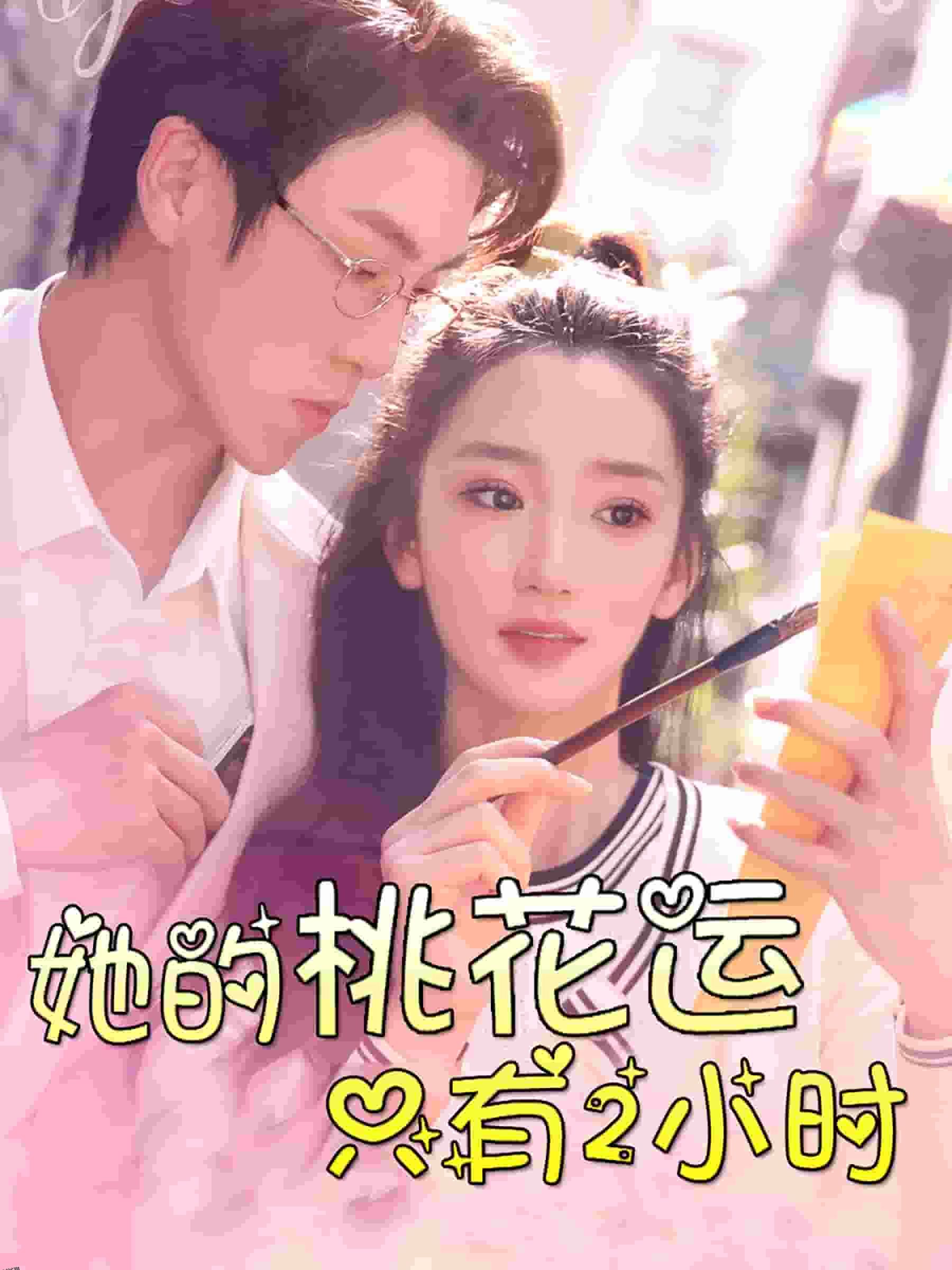 她的桃花运只有2小时 海报