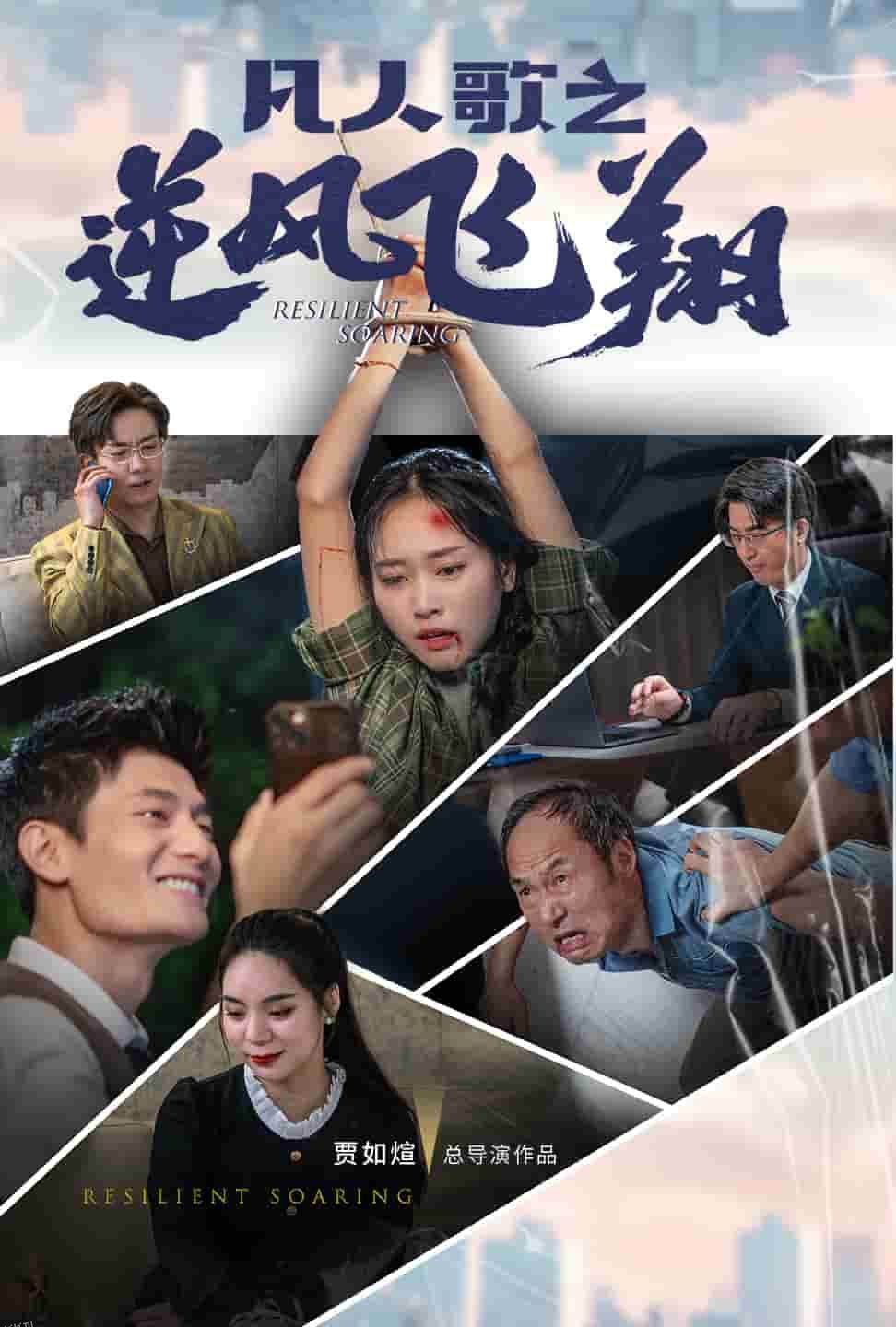 凡人歌之逆风飞翔 海报