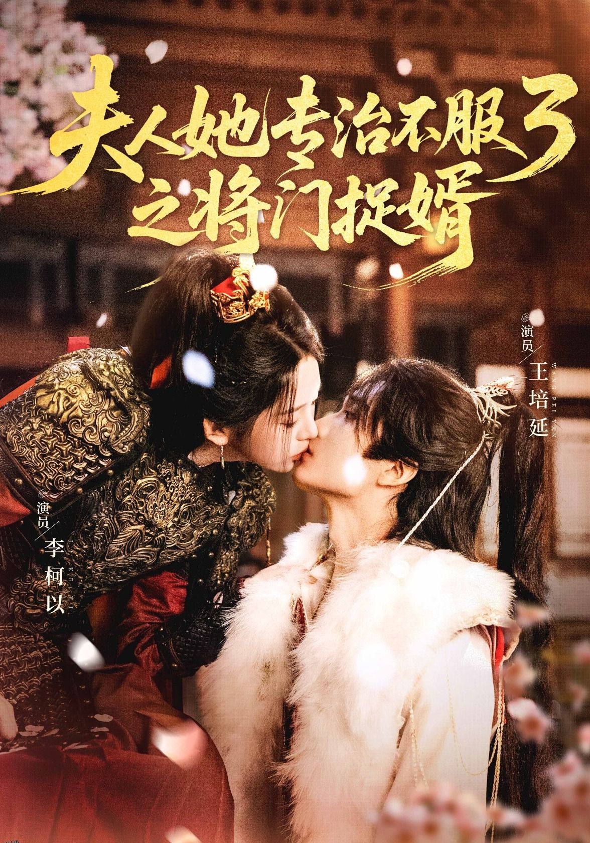 夫人她专治不服3之将门捉婿 海报