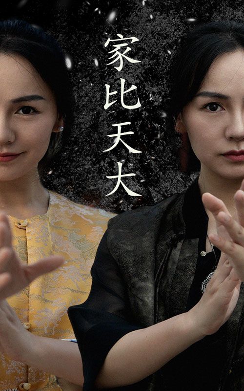 家比天大 短剧版 海报