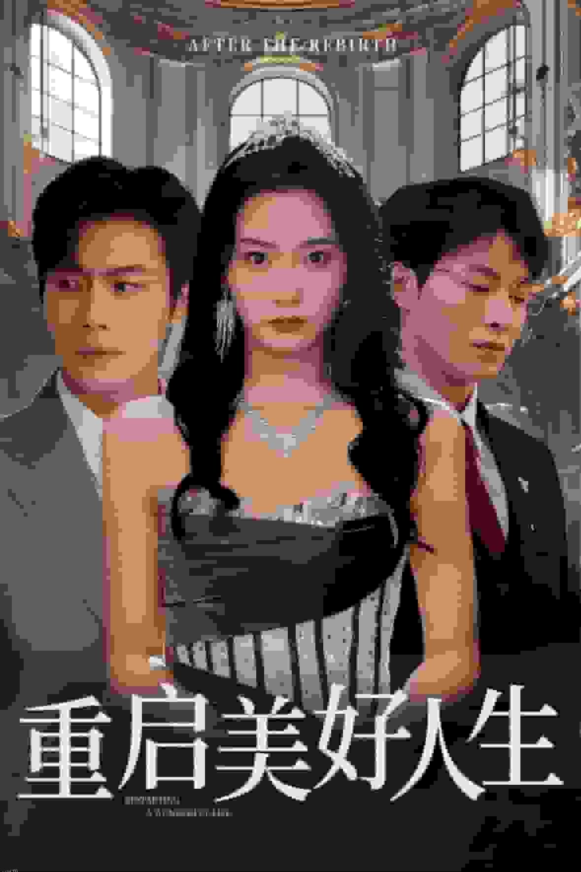 重启美好人生 海报