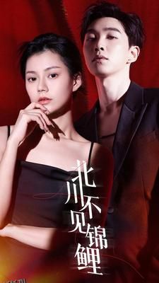 北川不见锦鲤 海报