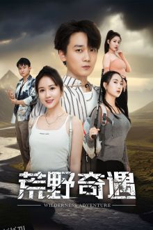 荒野奇遇 海报