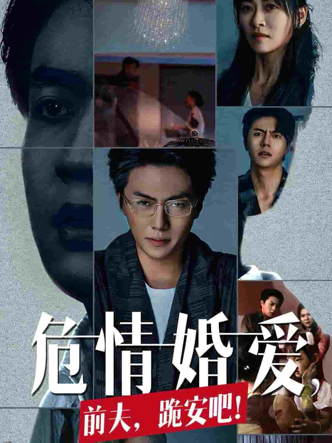 危情婚爱前夫跪安吧 海报