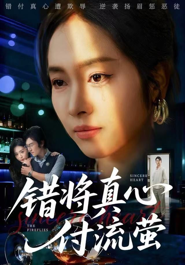 错将真心付流萤 海报