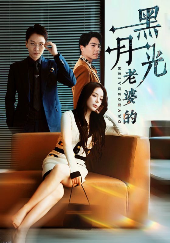 老婆的黑月光 海报