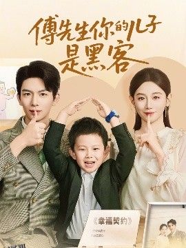 傅先生你的儿子是黑客 海报