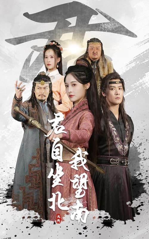 我自迎风向故里 海报