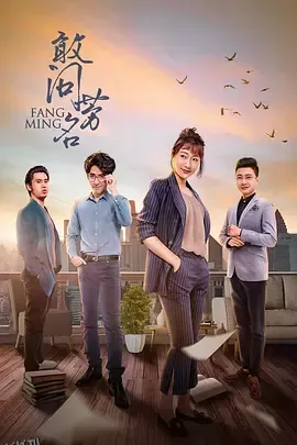 敢问芳名 高清海报