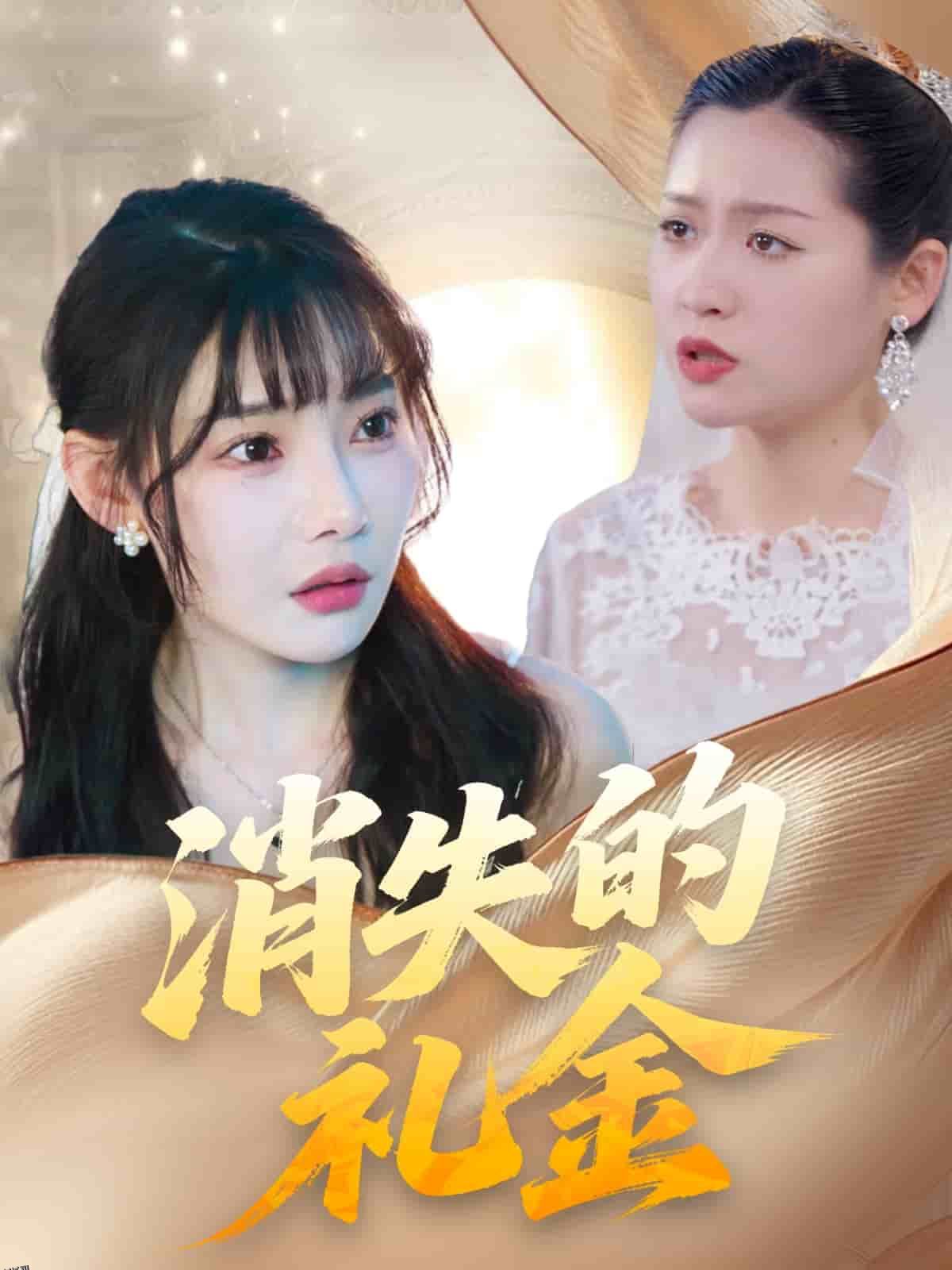 消失的礼金 海报