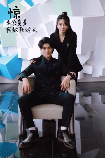 惊！老公竟是我的死对头 海报