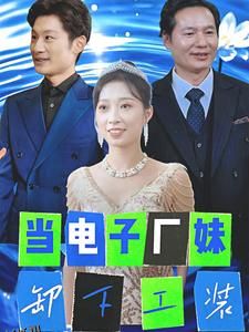 当电子厂妹卸下工装 海报