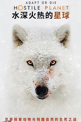 水深火热的星球 海报