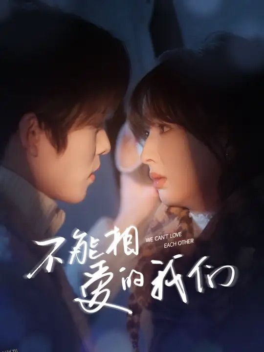 不能相爱的我们 高清海报