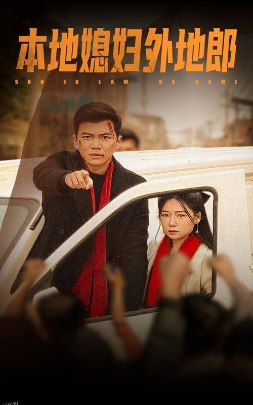 本地媳妇外地郎 高清海报