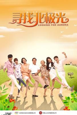 寻找北极光 海报