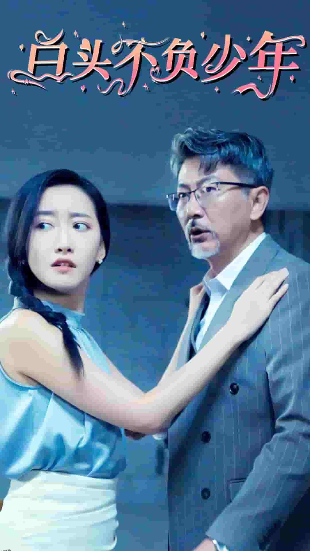 白头不负少年 海报