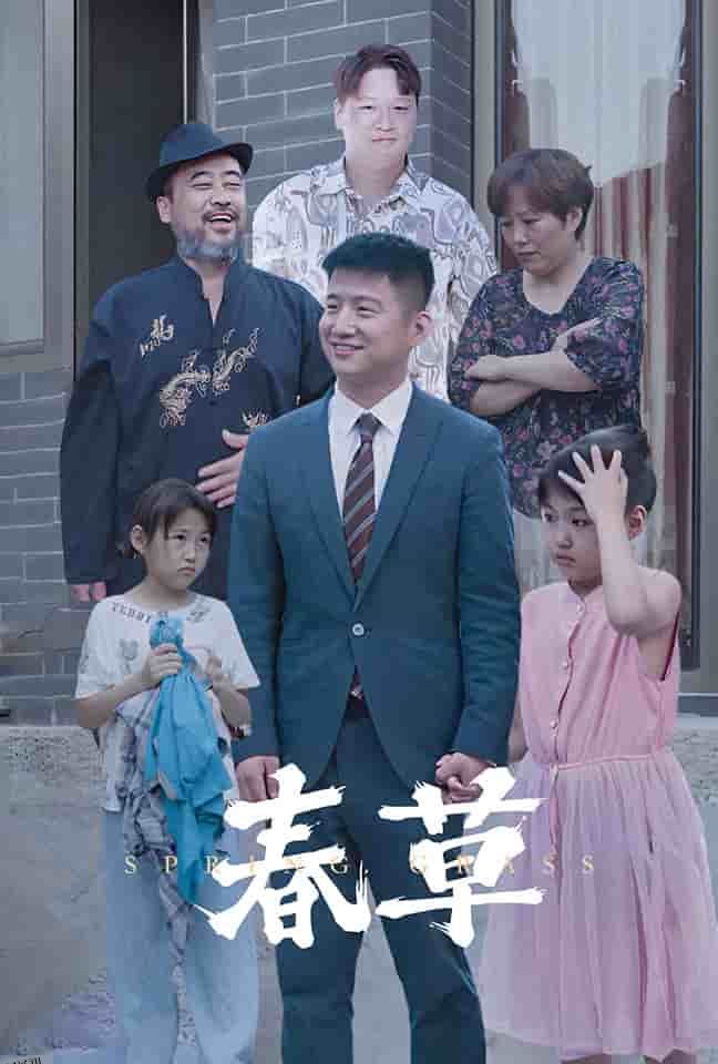 春草 短剧版 海报