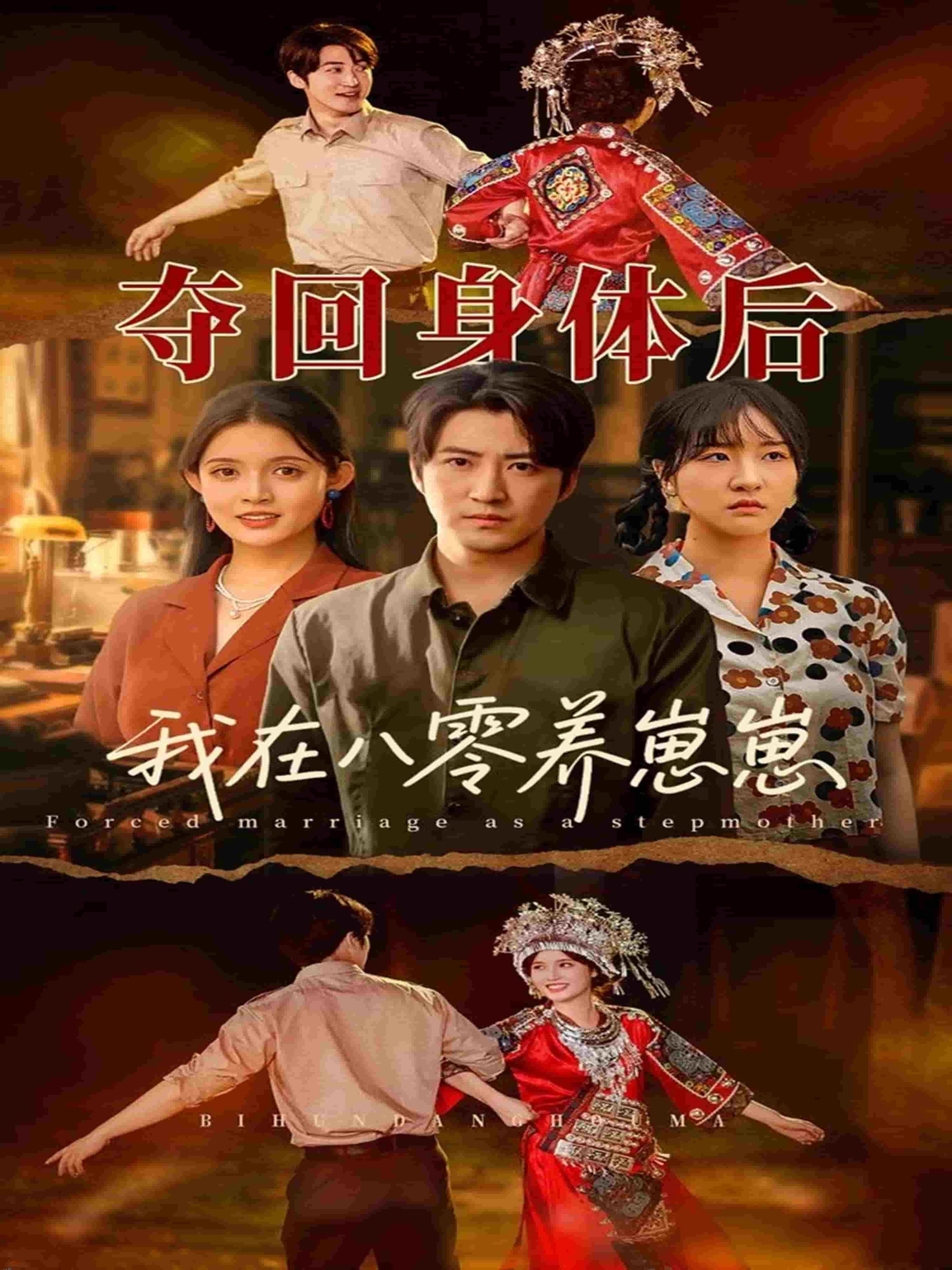 夺回身体后我在八零养崽崽 海报