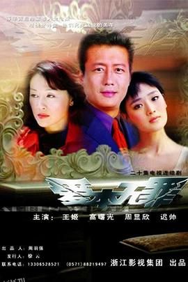 爱本无罪2005 海报