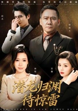 潜龙归渊待惊雷 海报