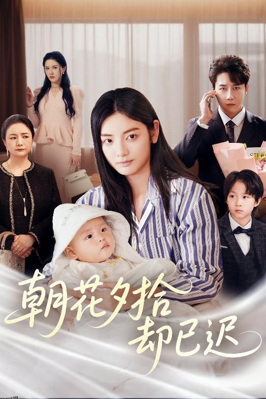 朝花夕拾却已迟 海报