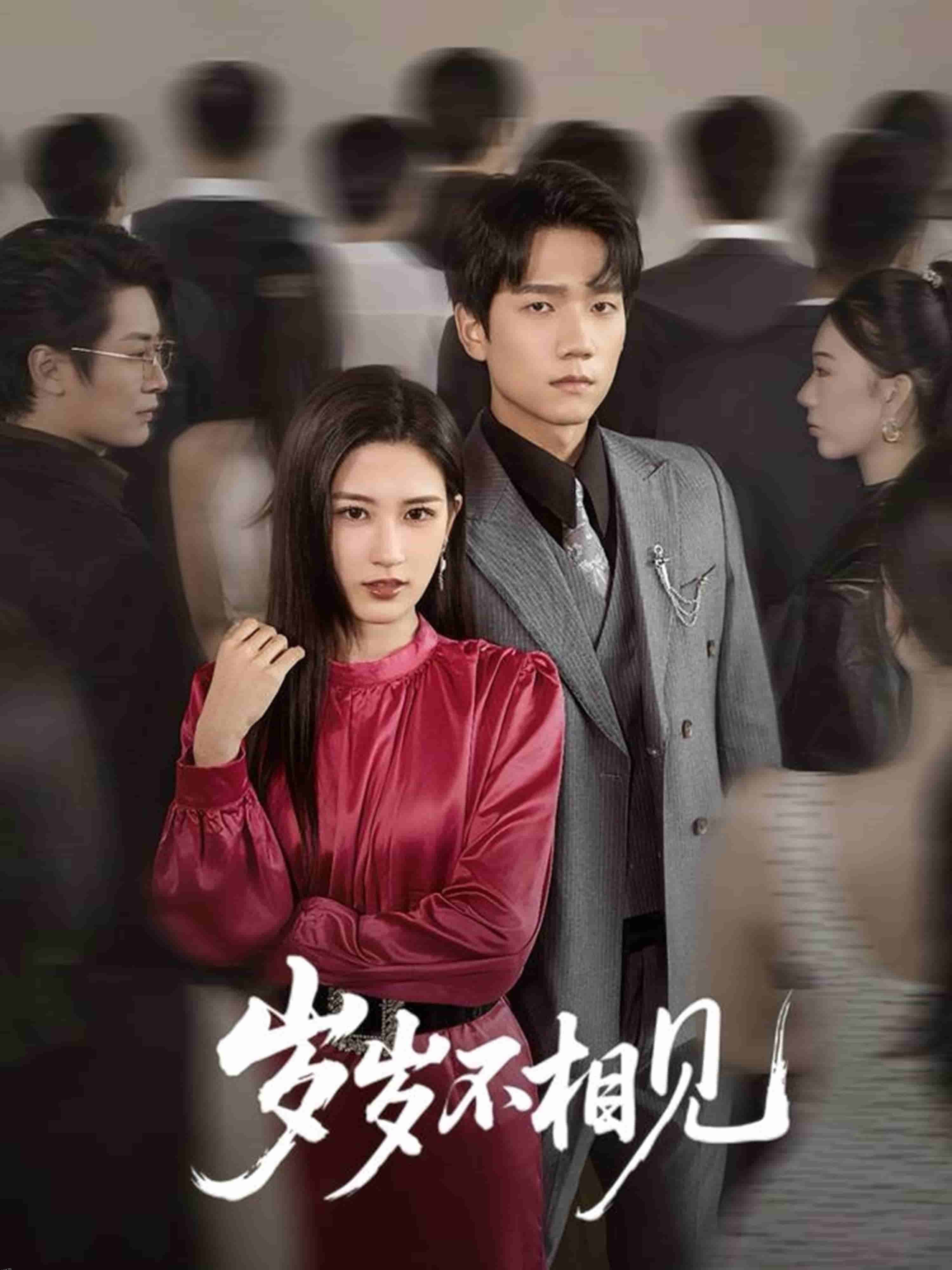 岁岁不相见 海报