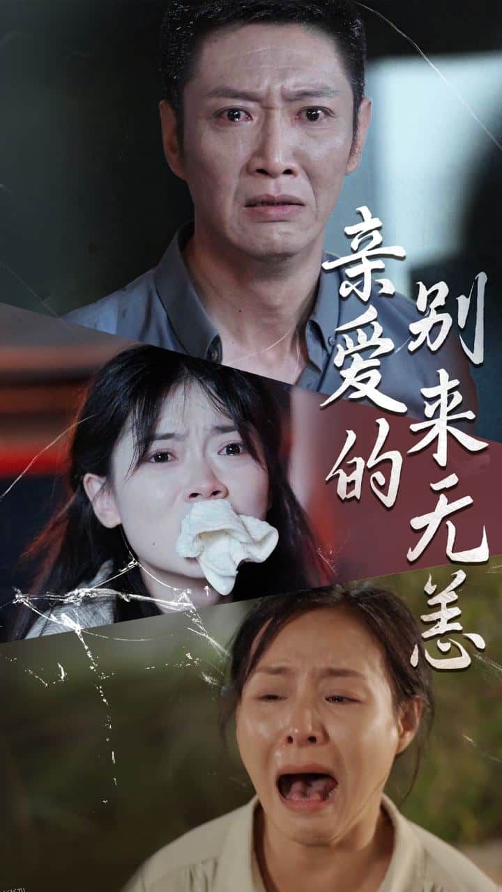 亲爱的别来无恙 海报