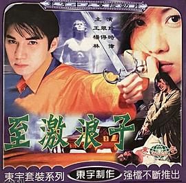 现代驯悍记 海报