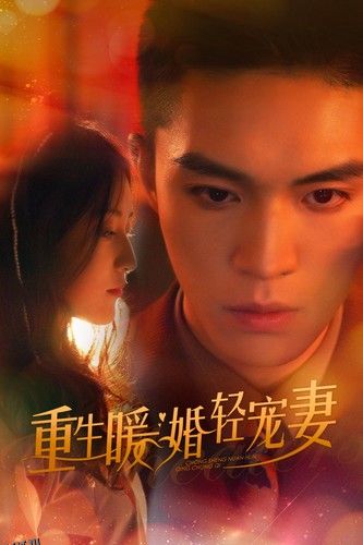 重生暖婚轻宠妻 短剧版 海报