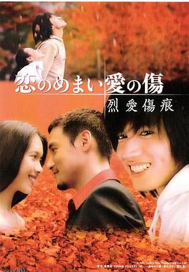 烈爱伤痕国语 海报