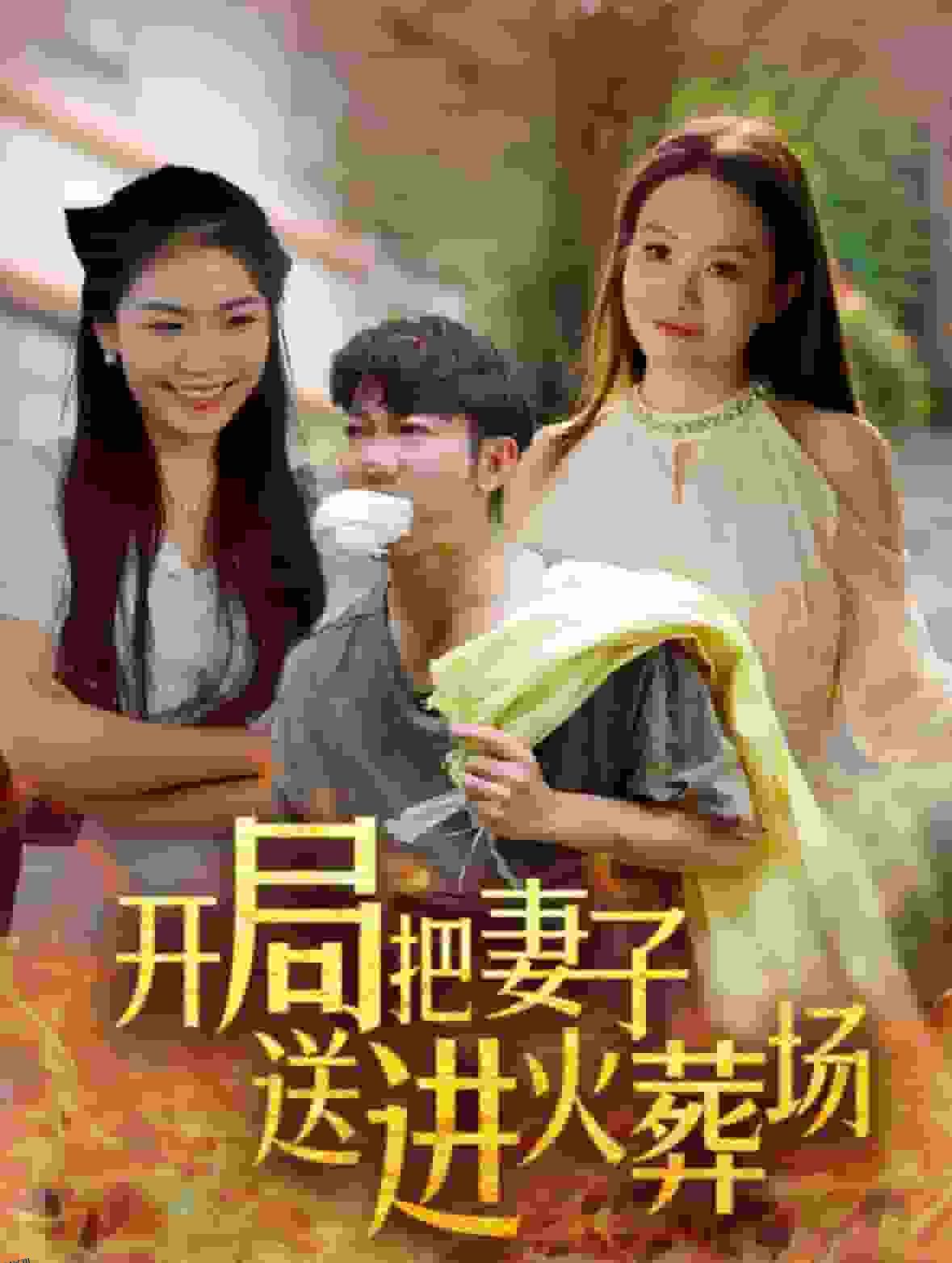 开局把妻子送进火葬场 海报