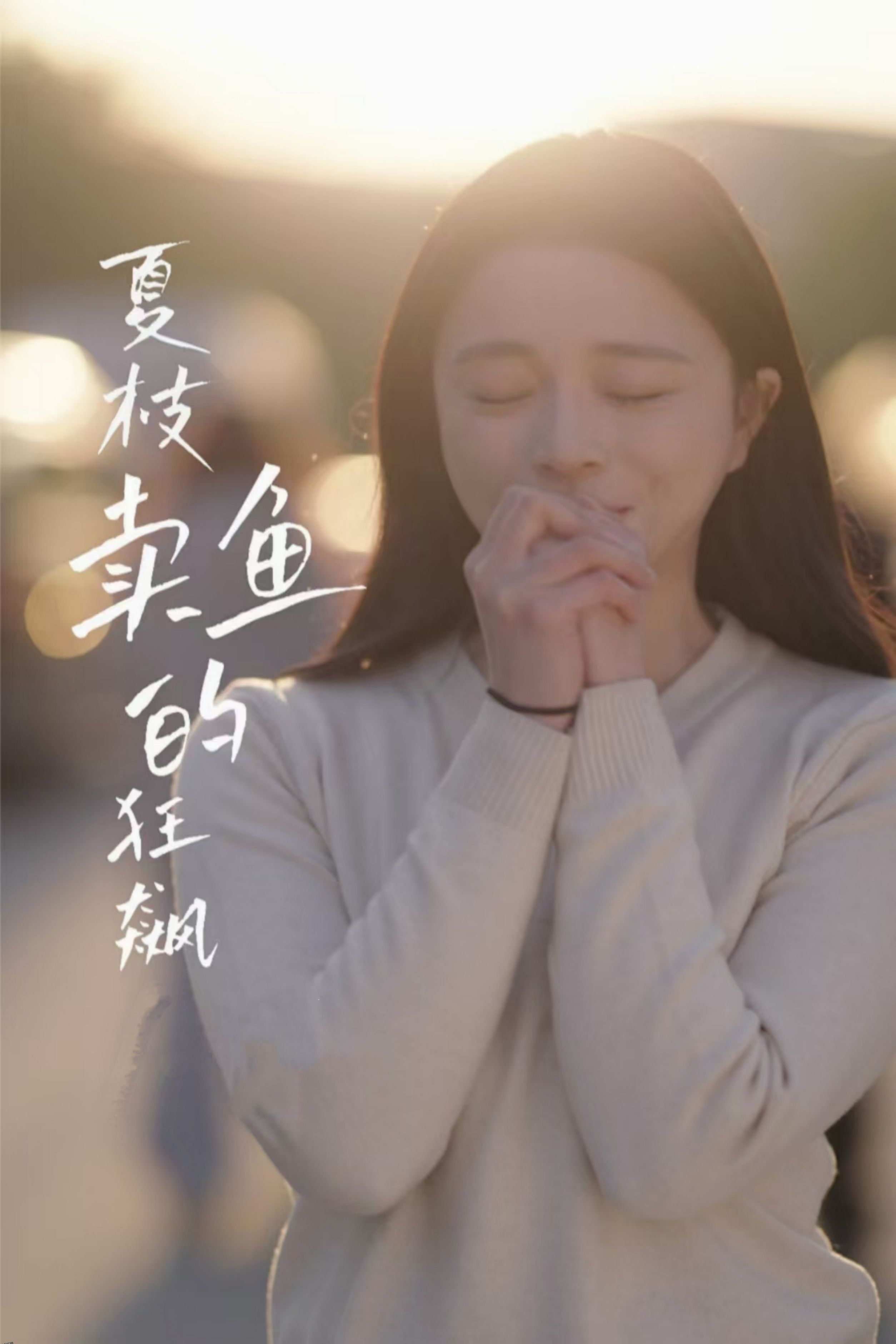 夏枝卖鱼的狂飙人生 海报