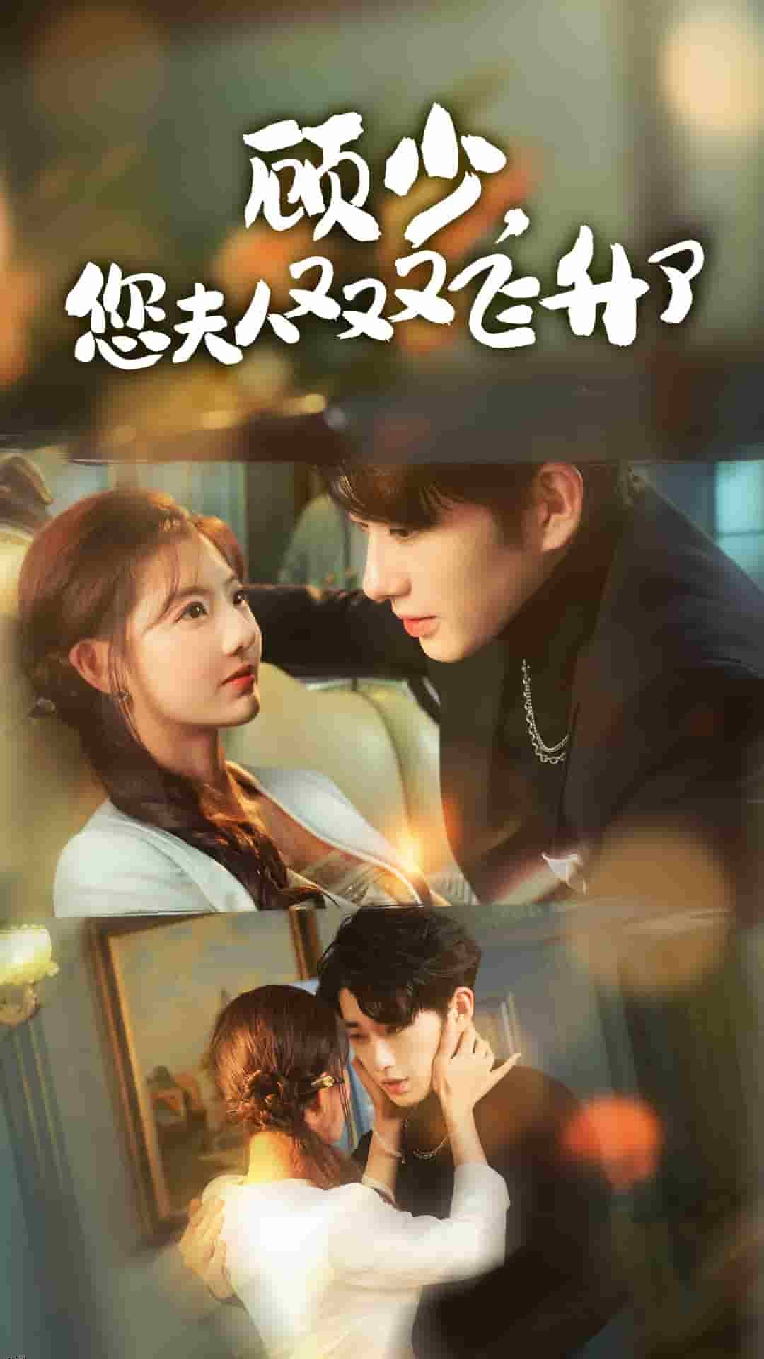 顾少您夫人又又又飞升了 海报