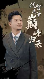 代驾老爹巅峰归来 海报