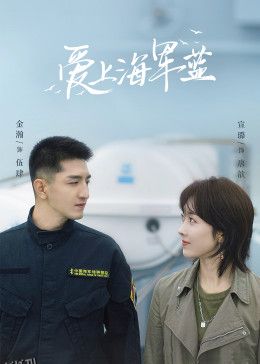 爱上海军蓝 高清海报