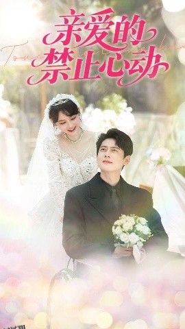 亲爱的禁止心动 海报