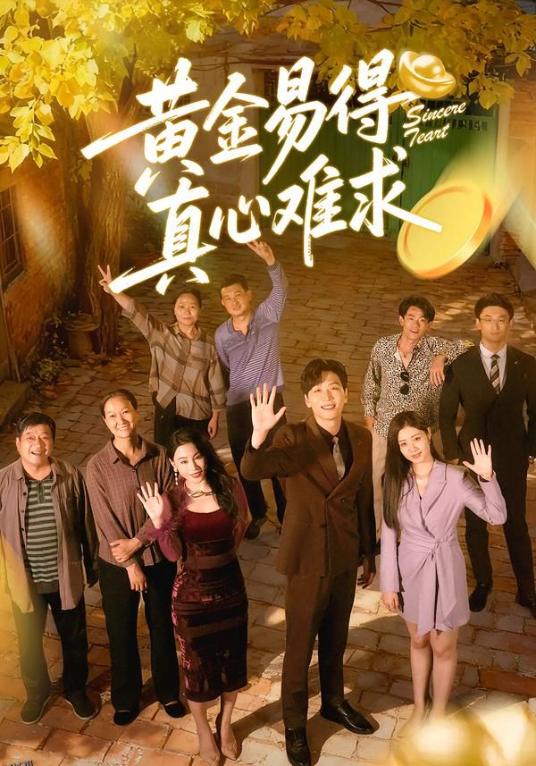 黄金易得真心难求 海报