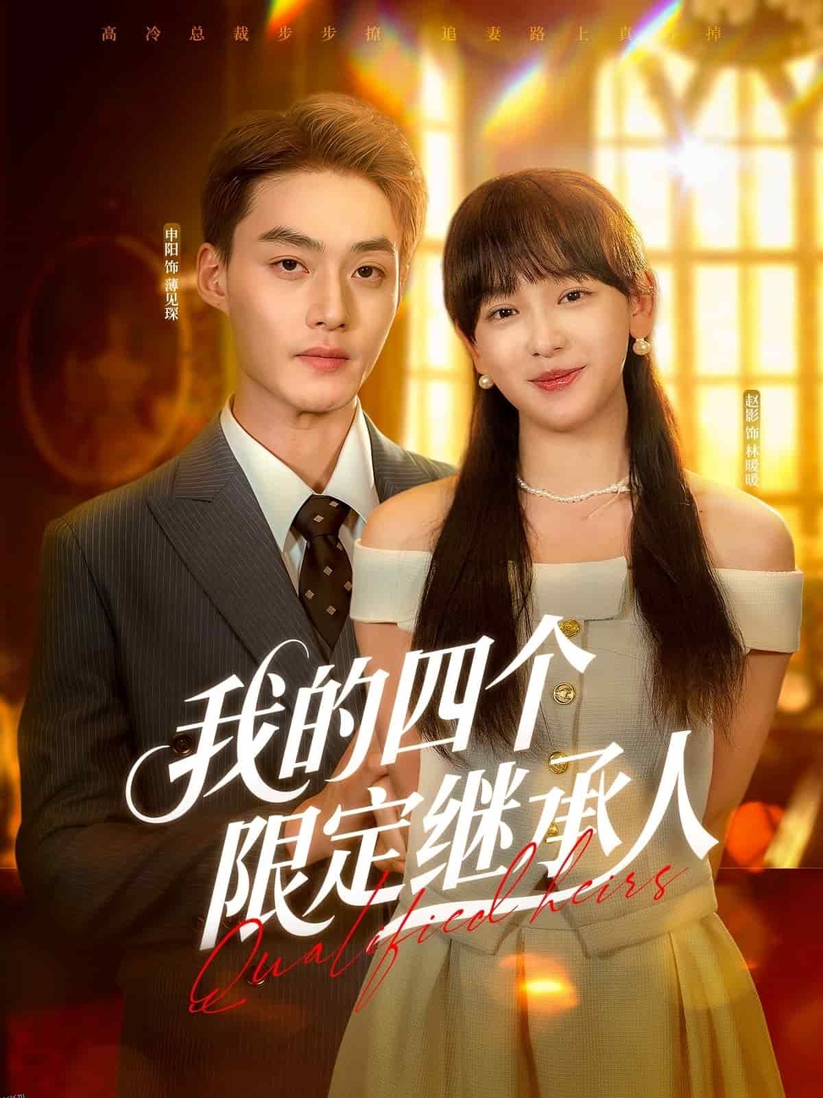 我的四个限定继承人 海报